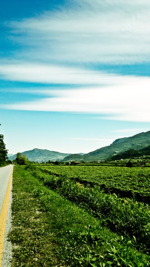 vista delle campagne